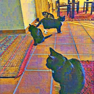 Meet your Posher, Mo